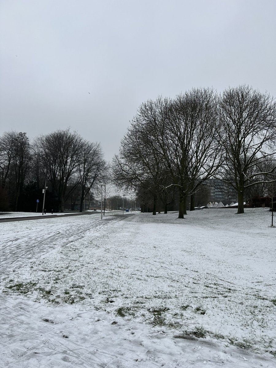juliarierag's tweet photo. primera nevada a utrecht😍 https://t.co/3m6mKjxynh