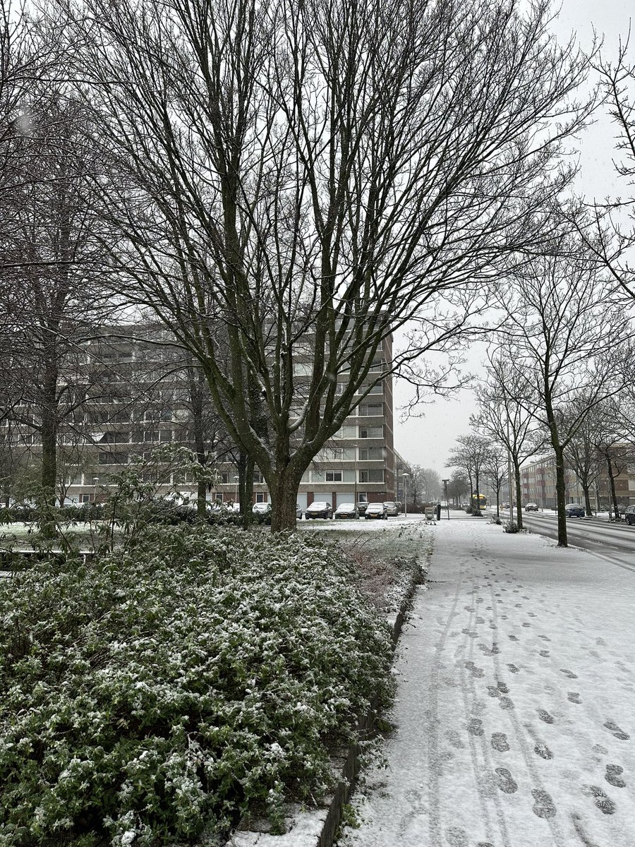 juliarierag's tweet photo. primera nevada a utrecht😍 https://t.co/3m6mKjxynh