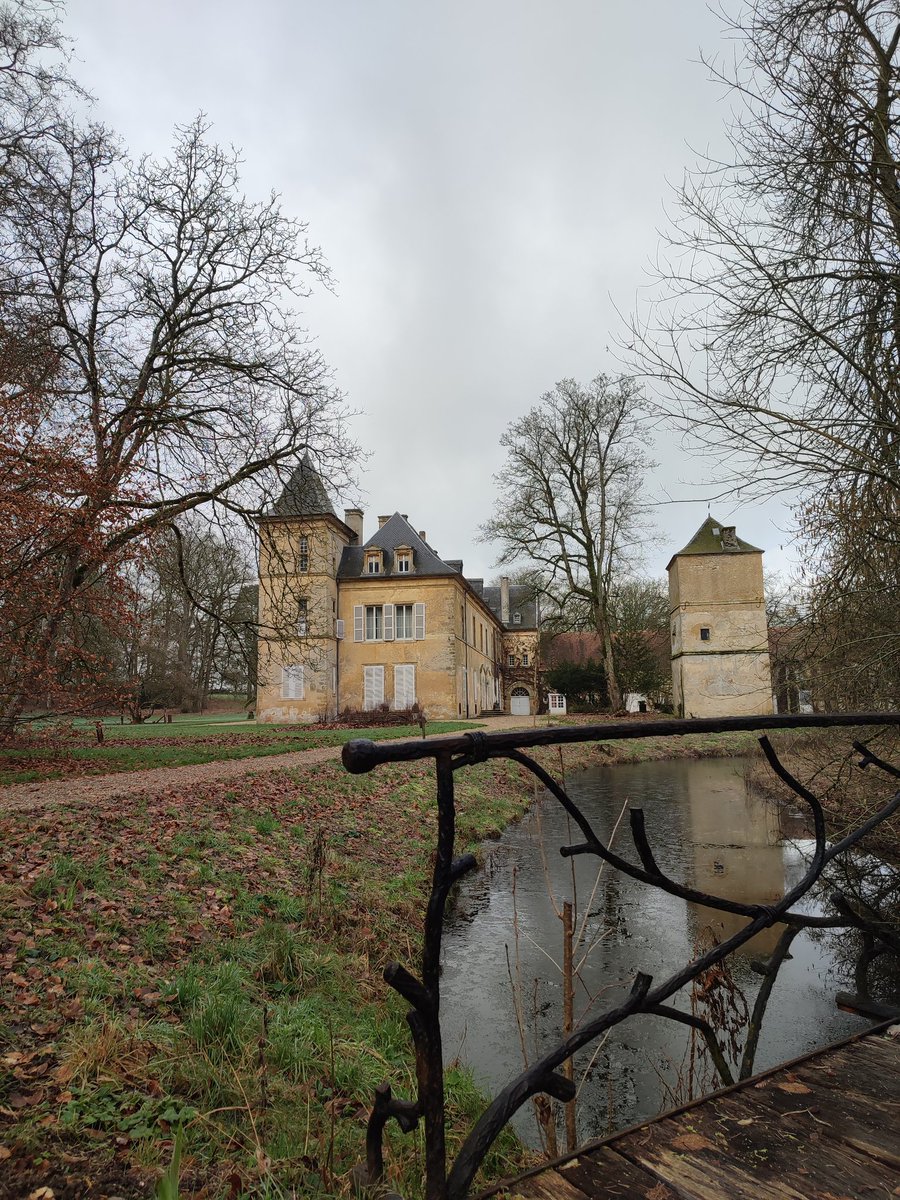 Ciel gris, #douves gelées, 0°C ... de quoi annoncer un #weekend haut en couleur 🥶