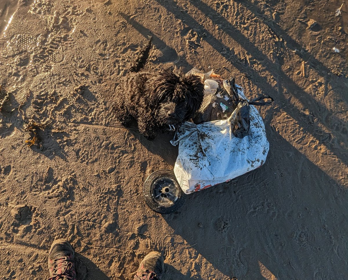 It's not that difficult to pick up a few bits instead of just walking past. All this mess is now safely off of the beach. 

#pawsonplastic #SUPsep #litterpicking #cleanupscotland