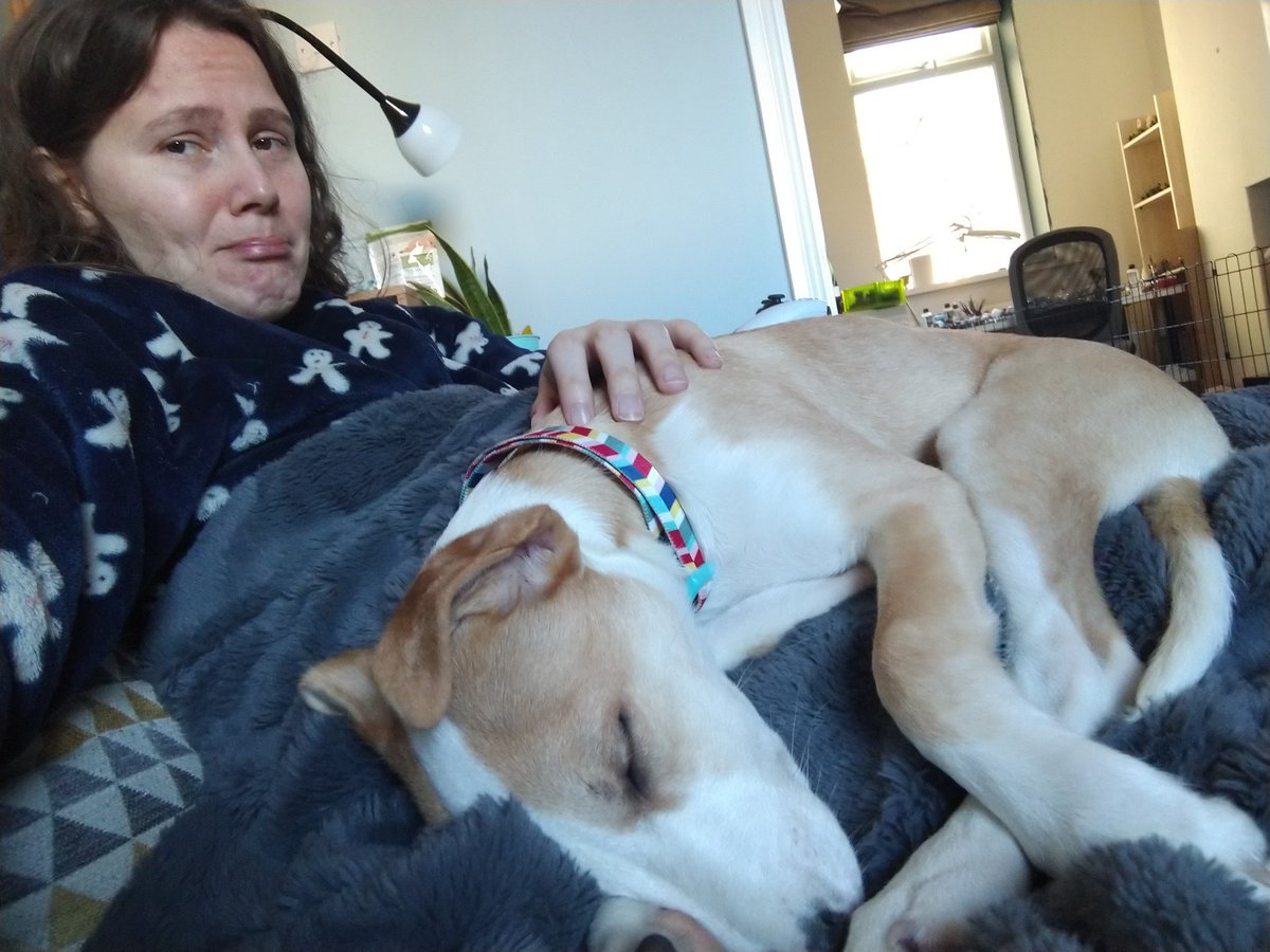 JoolzZenda's tweet photo. I've got to leave for work in 20 minutes but Pickle just fell asleep https://t.co/ke7jrSWyEC