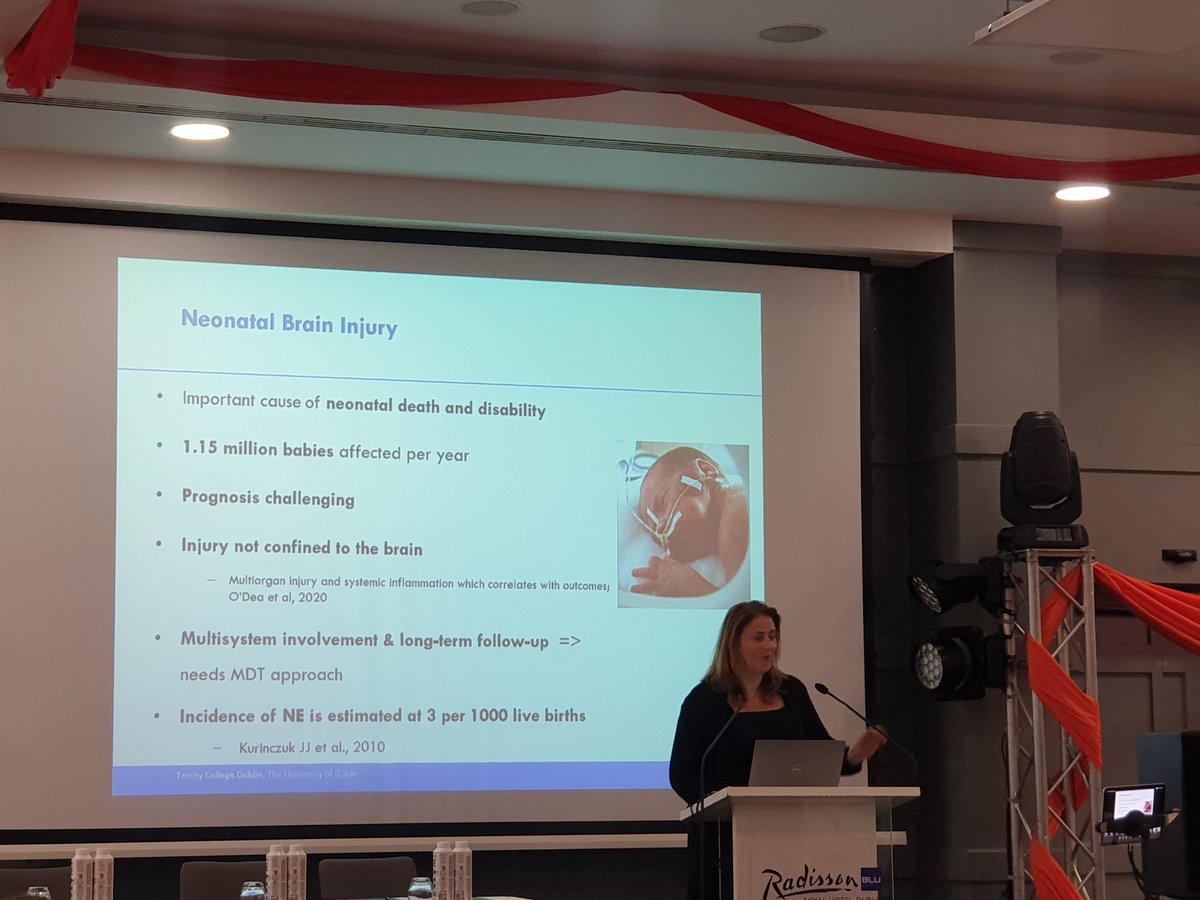 NPEC_UCC's tweet photo. Now, Prof Eleanor Molloy talks about #neonatalencephalopathy 

Many issues impact on this condition - antepartum and maternal factors also have a large contribution to this. 

#NPEC23
#neonataloutcomes #maternitycare https://t.co/y18ICVlnOG