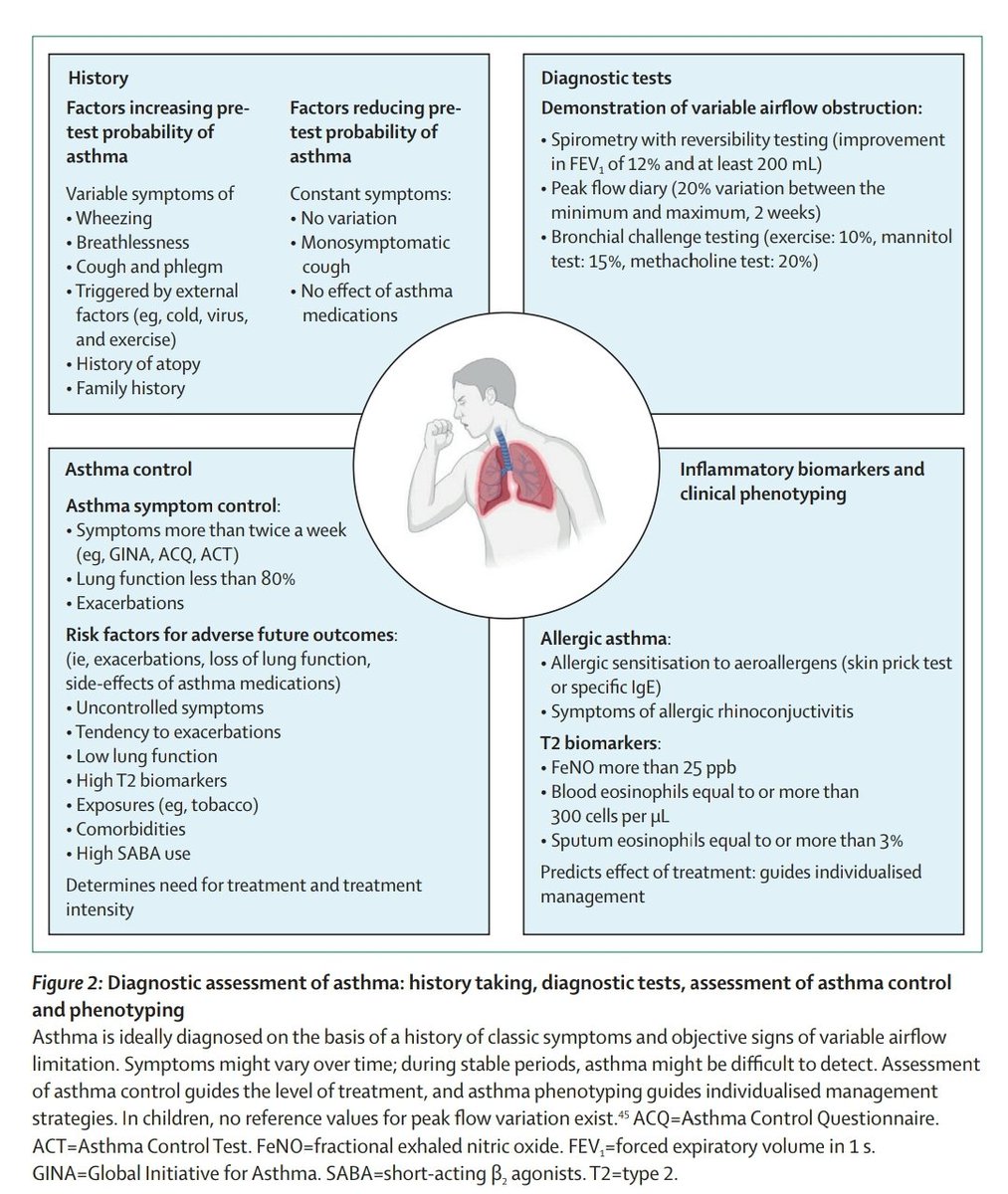KessnerJp's tweet photo. Asthma: The Lancet Seminar.
https://t.co/lyGbZVQZVC
🫁😱😤📚🎯
@TheLancet @LancetRespirMed @accpchest @EuroRespSoc @atscommunity @ALATorax @SeparRespira @socapnet @NeumoMadrid @neumopararesis @twitaamr @SNeumologia @SPLF_SocPneumo @DGPneumologie @Lungeninfo https://t.co/SkOcon9iYc