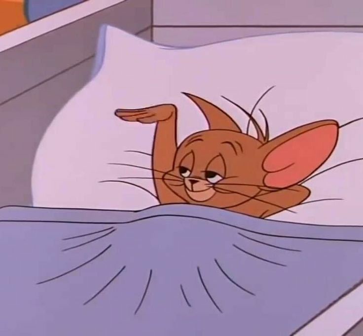 바쁜 사람을 위한 5000원으로 주민등록증 집에서 만들기 타래 (+사진관에서 사진 안찍고 집에서 찍는 법도 첨부)