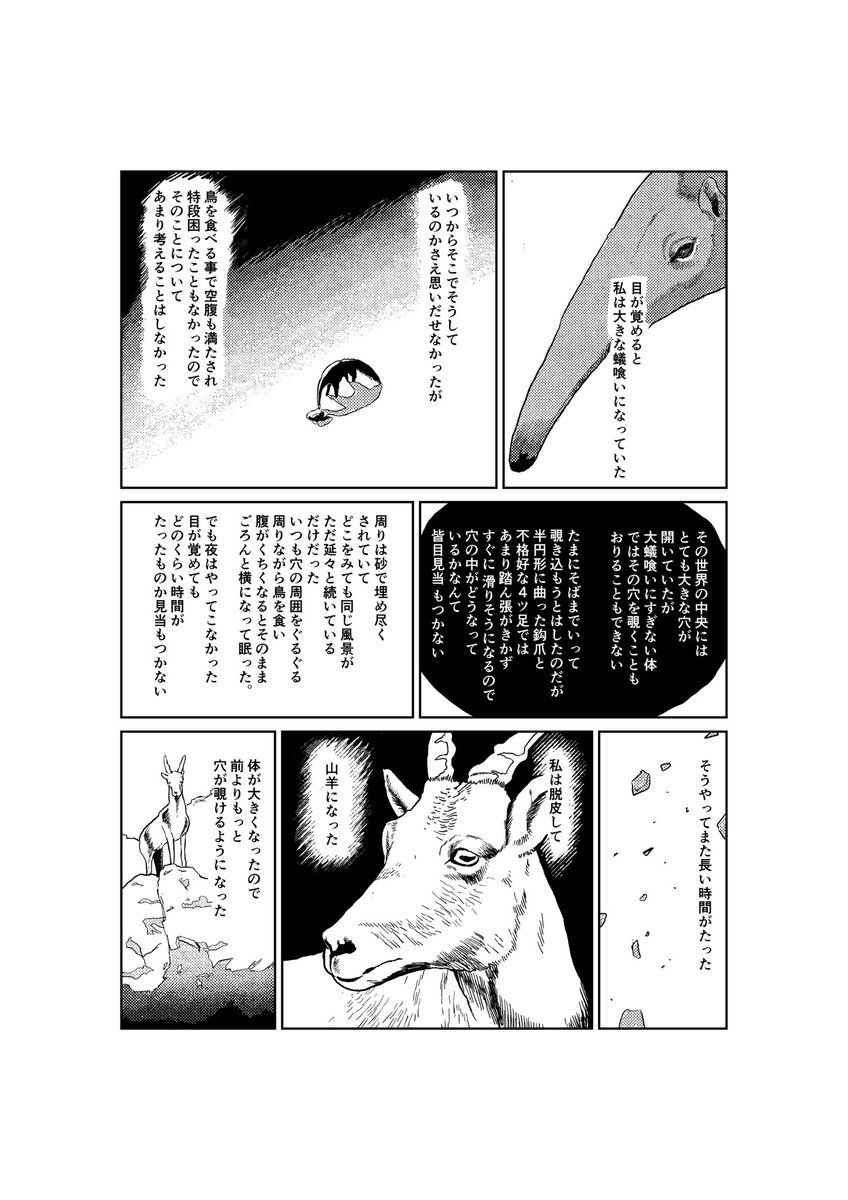 マンタムさんの同名の作品を巡る不思議な物語です。
見た事ないような飛行機に乗って大変な目に遭う話です。お楽しみに!

骨董商でもあるマンタムさんによる骨董市(驚くほど商品大量)もZaroffで同時開催されるとの事です。

土日は池袋も在廊しております!ぜひお越しください✈️ 