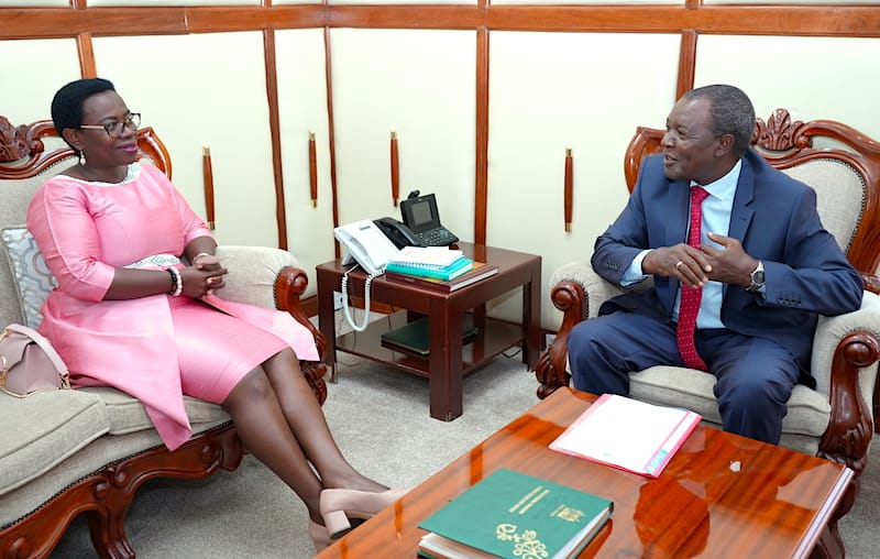 mnsanzabaganwa's tweet photo. 2/2: We had fruitful conversations on sustainable finance & evaluation of #FTYIP and #STYIP of #Agenda2063. @keTreasury; @_AfricanUnion https://t.co/jeaEZW8iMU