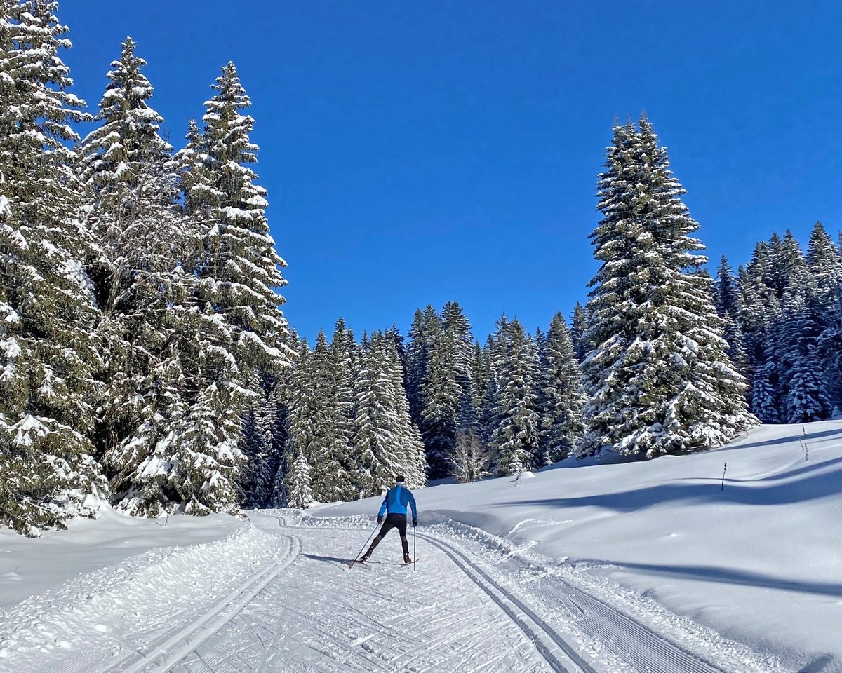 Des conditions de rêve sur les domaines nordiques 👌❄️🤩 
Pour plus de détails : savoienordic.com/meteo-ouvertur…