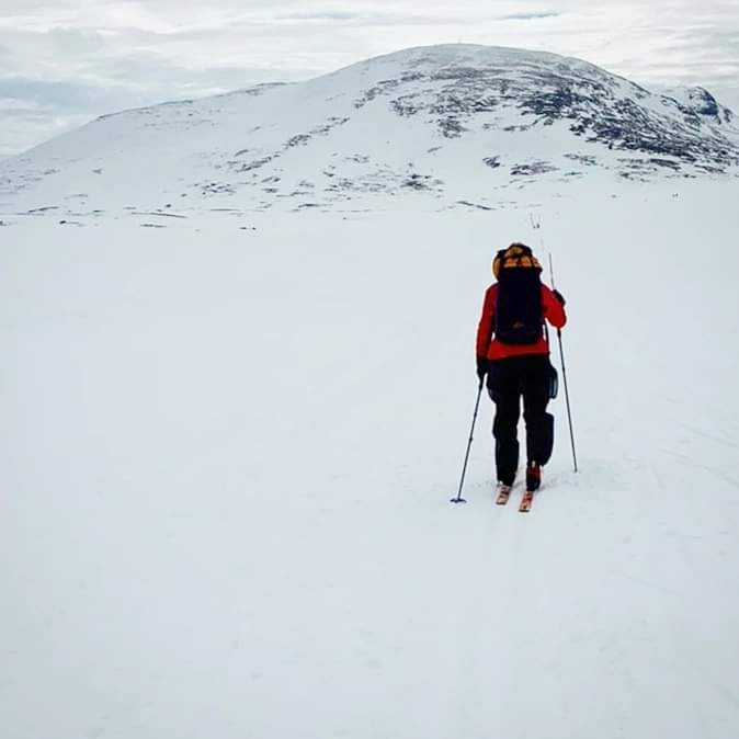 I morgon går flyttlasset norrut. På måndag börjar jag på nytt som läkare på heltid. Jag tar tjänstledigt, men kommer vara kvar på Timbro på ett hörn.