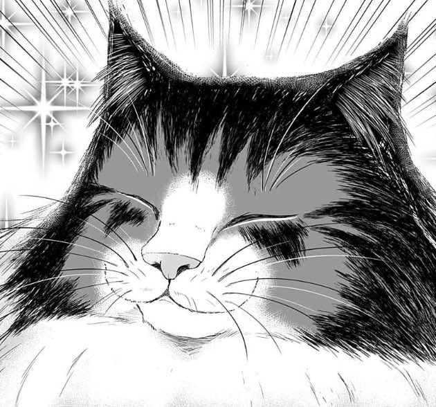 「少年ジャンプ+」「奴隷の私氏 モフモフ主人が尊くて 今日も無事死亡」より、今週のお気に入りコマ!🐈
今週はモフモフ多め!
🔽本編はこちら(無料)🔽
https://t.co/mAuOxc14qx