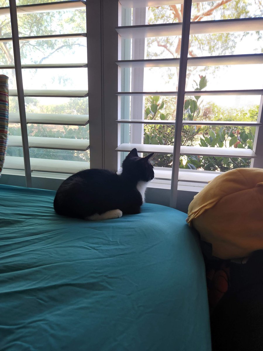 Hum bimbly tweet media