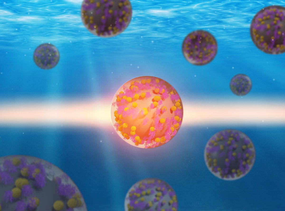 Swiss Nanoscience Institute (SNI) (@sniunibas) on Twitter photo Nano-heating enables #enzymes to work at sub-zero temperatures
Researchers from the <a href="/SNIunibas/">Swiss Nanoscience Institute (SNI)</a> network have developed a strategy to enable the activity of a natural #biocatalyst at low temperatures, down to -10°C.
pubs.rsc.org/en/content/artā¦
<a href="/Shahgaldian_Lab/">Patrick</a> <a href="/FHNW/">Fachhochschule Nordwestschweiz FHNW</a> #nanobiocatalyst Nano-heating enables #enzymes to work at sub-zero temperatures
Researchers from the <a href="/SNIunibas/">Swiss Nanoscience Institute (SNI)</a> network have developed a strategy to enable the activity of a natural #biocatalyst at low temperatures, down to -10°C.
pubs.rsc.org/en/content/artā¦
<a href="/Shahgaldian_Lab/">Patrick</a> <a href="/FHNW/">Fachhochschule Nordwestschweiz FHNW</a> #nanobiocatalyst