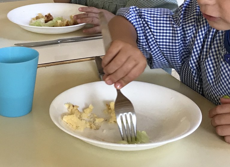 Els alcaldes de Navès i Pinell qüestionen que el menú que s’ofereix en algunes escoles de la ZER sigui adequat per als nens. Reclamen solucions al <a href="/CCSolsones/">Consell Comarcal del Solsonès</a>
 per millorar el servei que gestiona l'ens #Solsonès