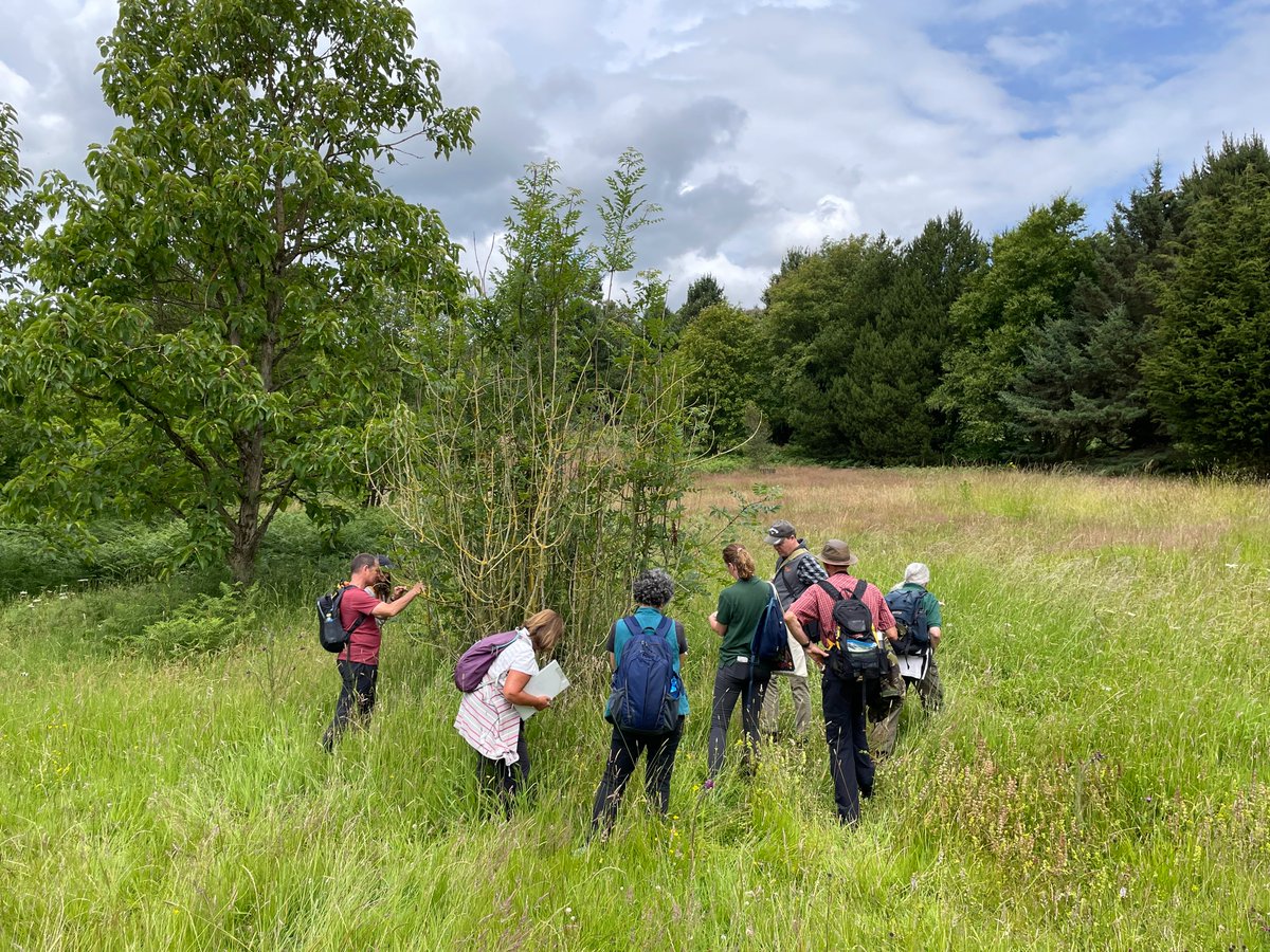 bec_goose's tweet image. Great #Observatree coverage at @scotforestry Forestry Health Day. Volunteers contributing significant reports in Scotland through Tree Alert and submitting 21 initial surveys to help with a project into alder decline 🌳🌲 @Bertolicus @Anapesi3