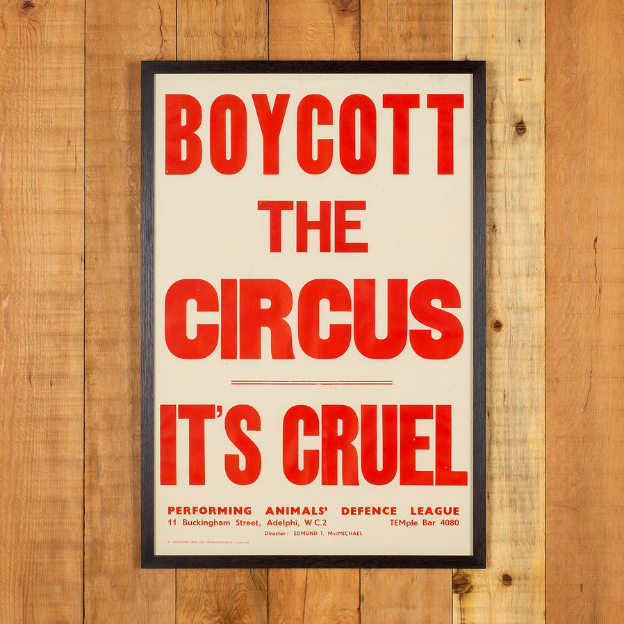 HertsMuseums's tweet photo. This entry for Herts Museum Object of the Year, from @GC_Collection, is a Boycott the Circus Fly Poster from 1948. Part of Letchworth’s proud history of activism. Find out about all the entries and vote at https://t.co/v4x9OfjBDB  #hertsooty @hertscc https://t.co/T8YR45OICR