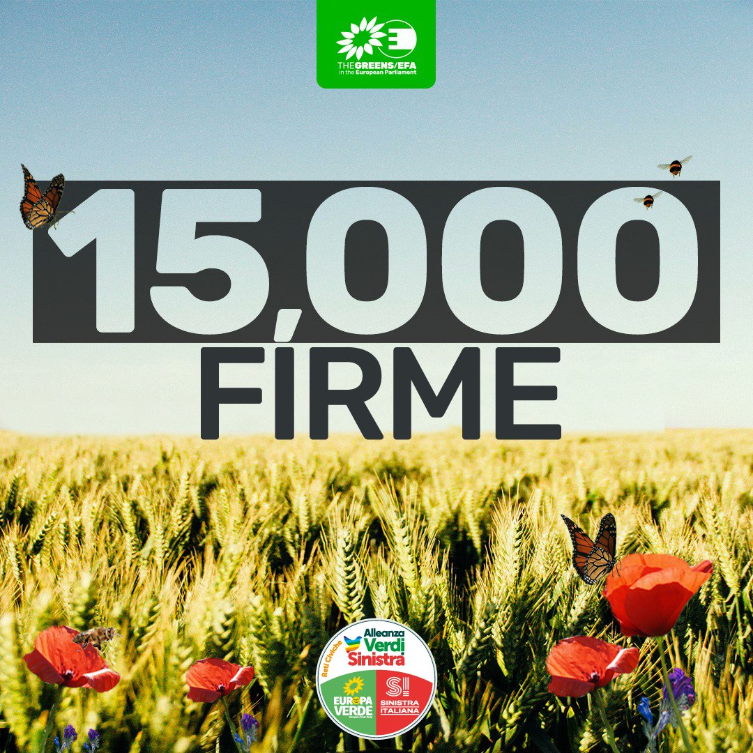 🥳Wow! In pochissimi giorni la petizione per bannare il glifosato ha superato 15 mila firme.
🐝Tu hai già firmato? #StopGlifosato e aiutaci a salvare la biodiversità 👉act.greens-efa.eu/it/glifosato