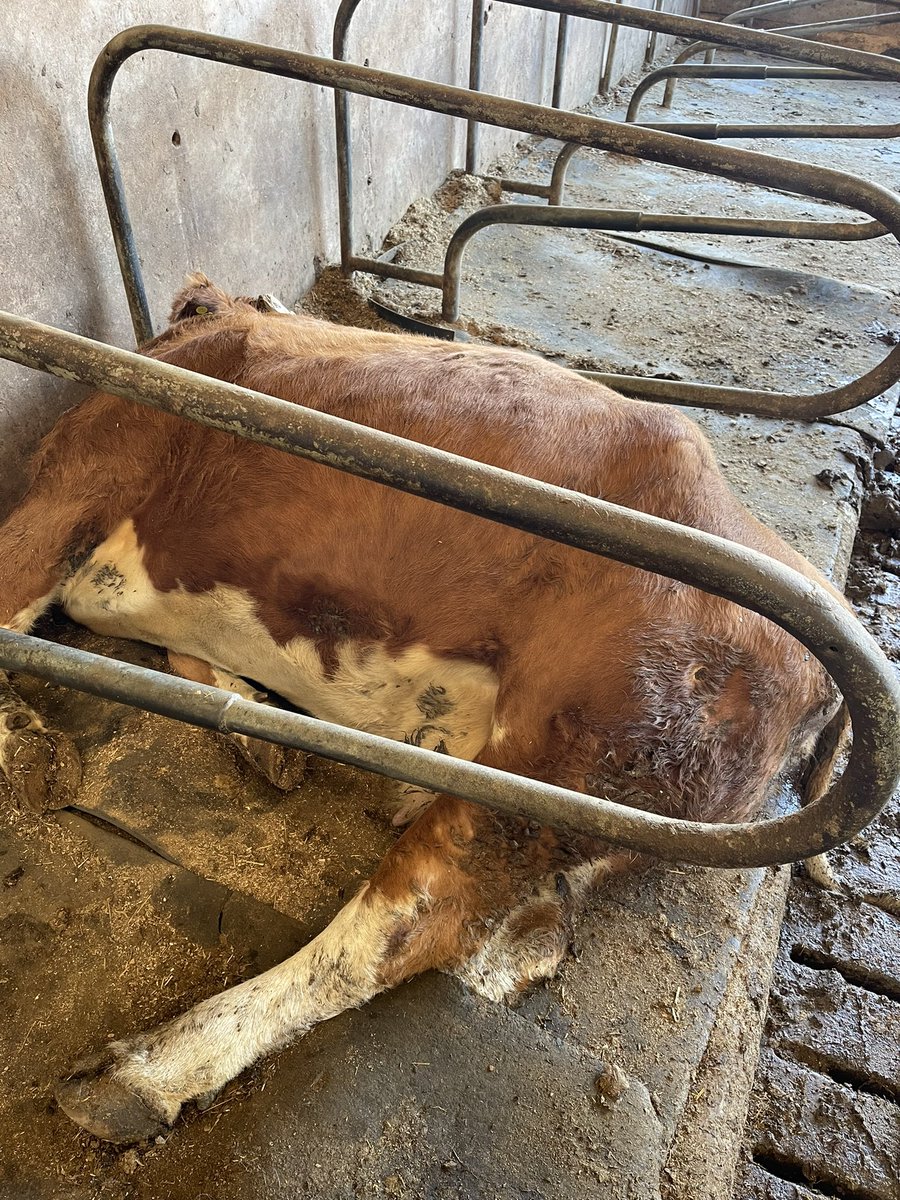 Matthew Blair tweet media