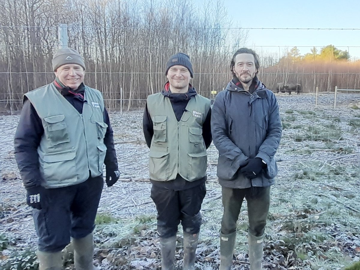 Out with Don &amp; Tom, the Bison rangers of <a href="/KentWildlife/">Kent Wildlife Trust</a> &amp; <a href="/WildwoodTrust/">Wildwood Kent</a>…

…it’s a liiiiiitle chilly! 

🦬🦬🦬🦬🦬