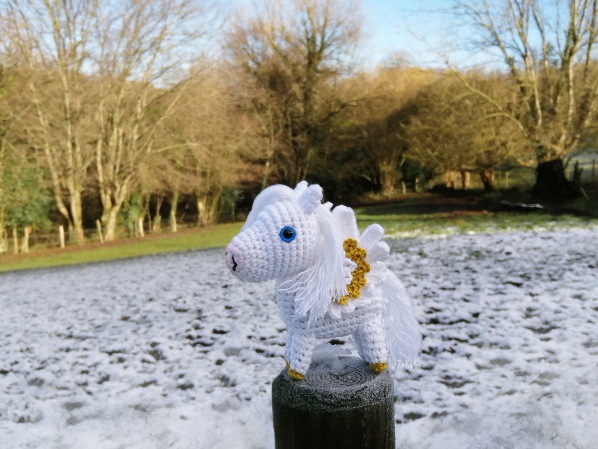 Twi, c'est pas parce que je bosse dans l'ombre avec mes deux tympans perforés par une otite démoniaque qu'il faut m'oublier ! 
Du coup... Giveaway sauvage !
Ouais PAF comme ça.
Pour fêter mon premier patron de bestiole, je fais gagner le prototype de ce Pégachou: 
RT + Follow +👍