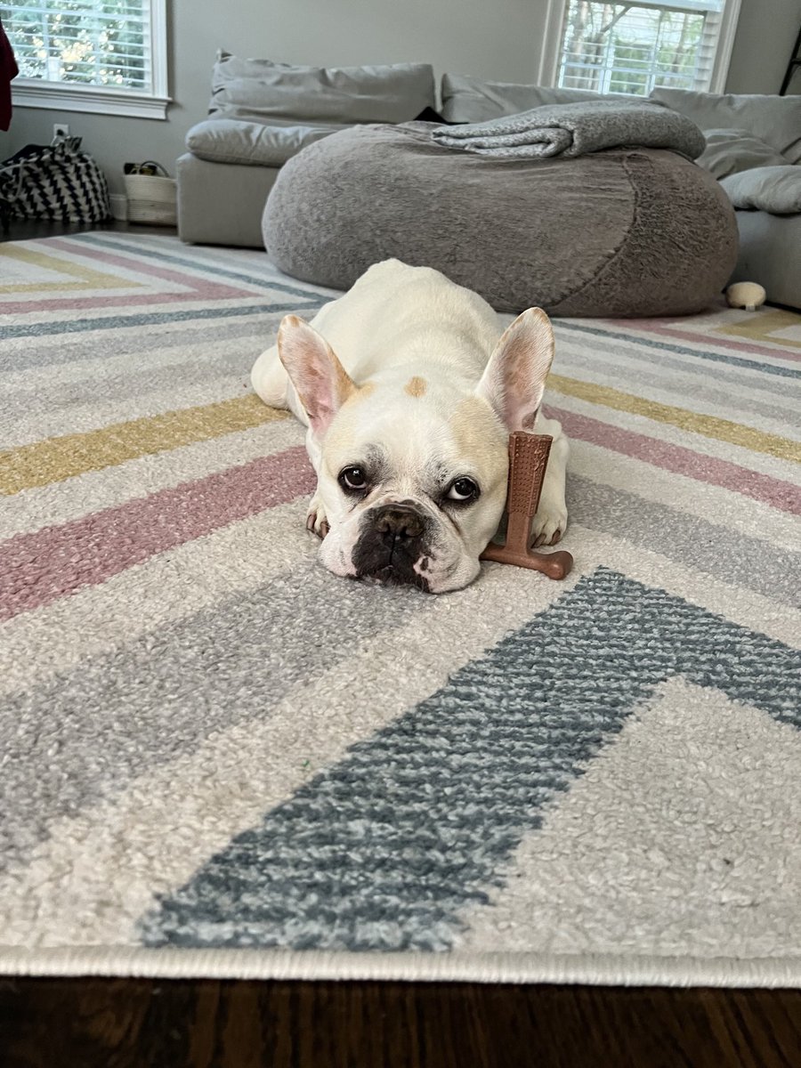 jooooolia5's tweet photo. Guys, my handsome man died a month ago and I’m still so sad about it. Does someone have the number for across the 🌈 so I can call him? 🥺 https://t.co/eRKkXiiEVq