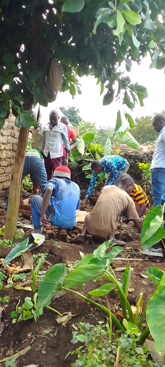 gikombecell2022's tweet photo. Kubufatanye na @aeerwanda Uyu munsi mukagari ka Gikombe hubatswe ubwiherero mumudugudu wa Rebero bw'umuturage utishoboye. 
#ImihigoIrakomeje

@RubavuSector 
@RubavuDistrict https://t.co/4pb4b8LZ4S