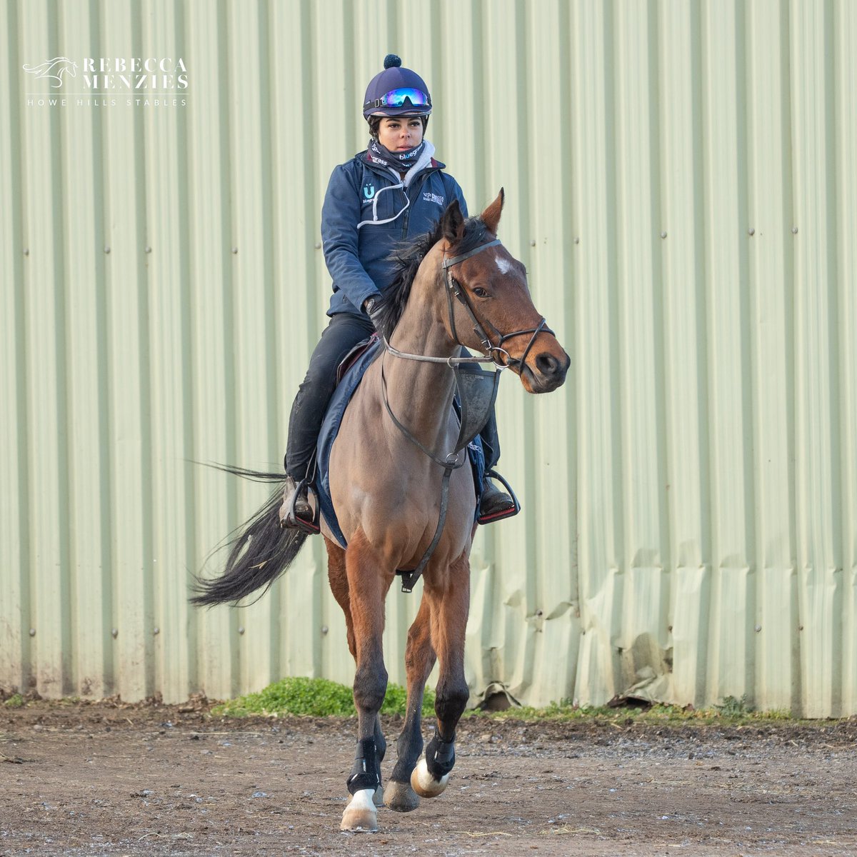 RebeccaEMenzies's tweet image. Well done to Anita  for passing her driving theory test this week. 👏👏next stop pass your driving test!! 🚙🚙 #theorytest #driving #teammenzies