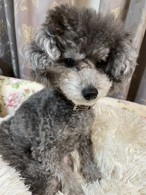 ãã!瞊ãµã ãã«ãã©ã£ã!!