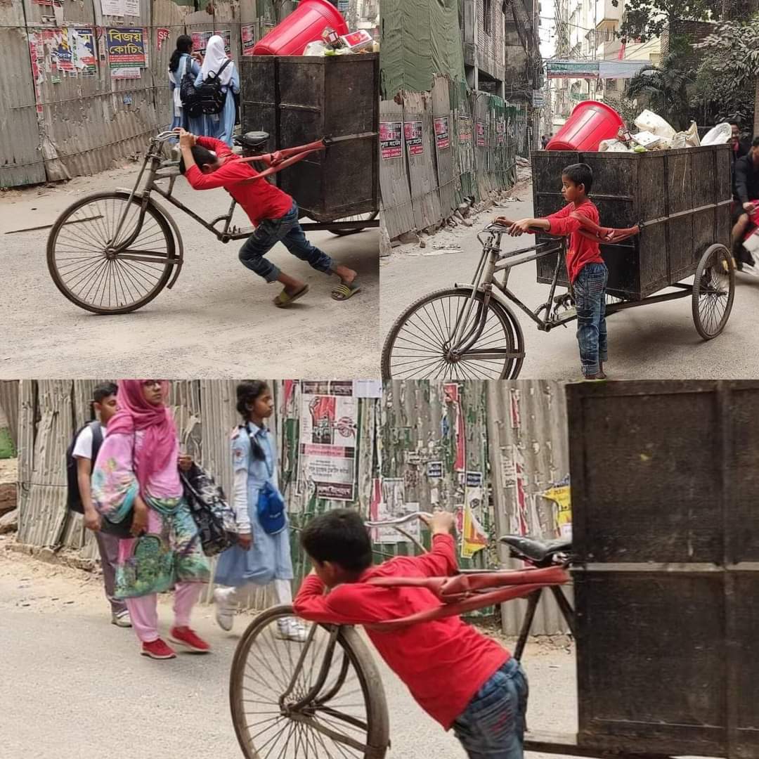 এই দৃশ্য দেখার পর জীবনের প্রতি আমার আর কোনো অভিযোগ নেই!🙂