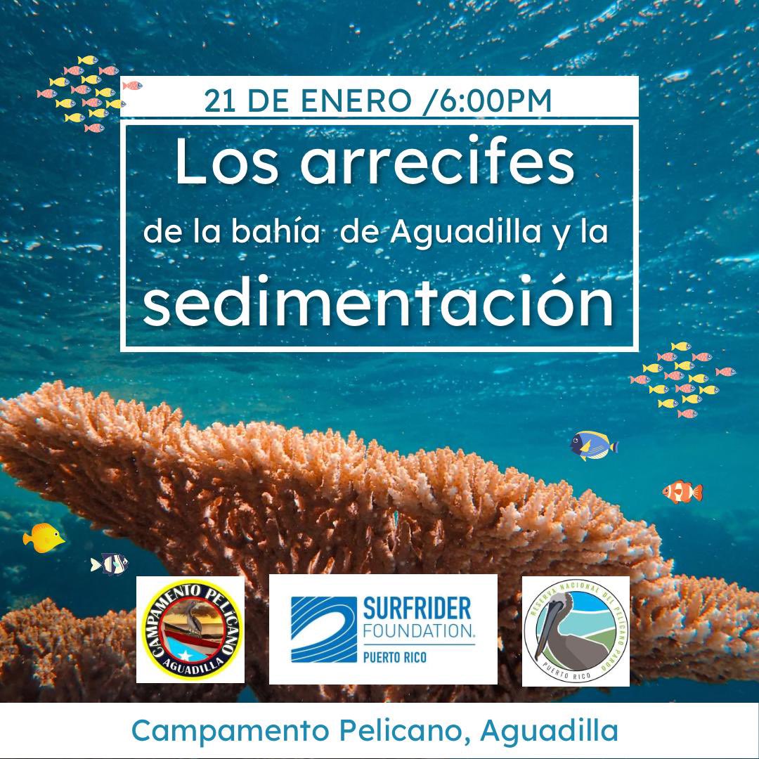 Surfrider Puerto Rico tweet media