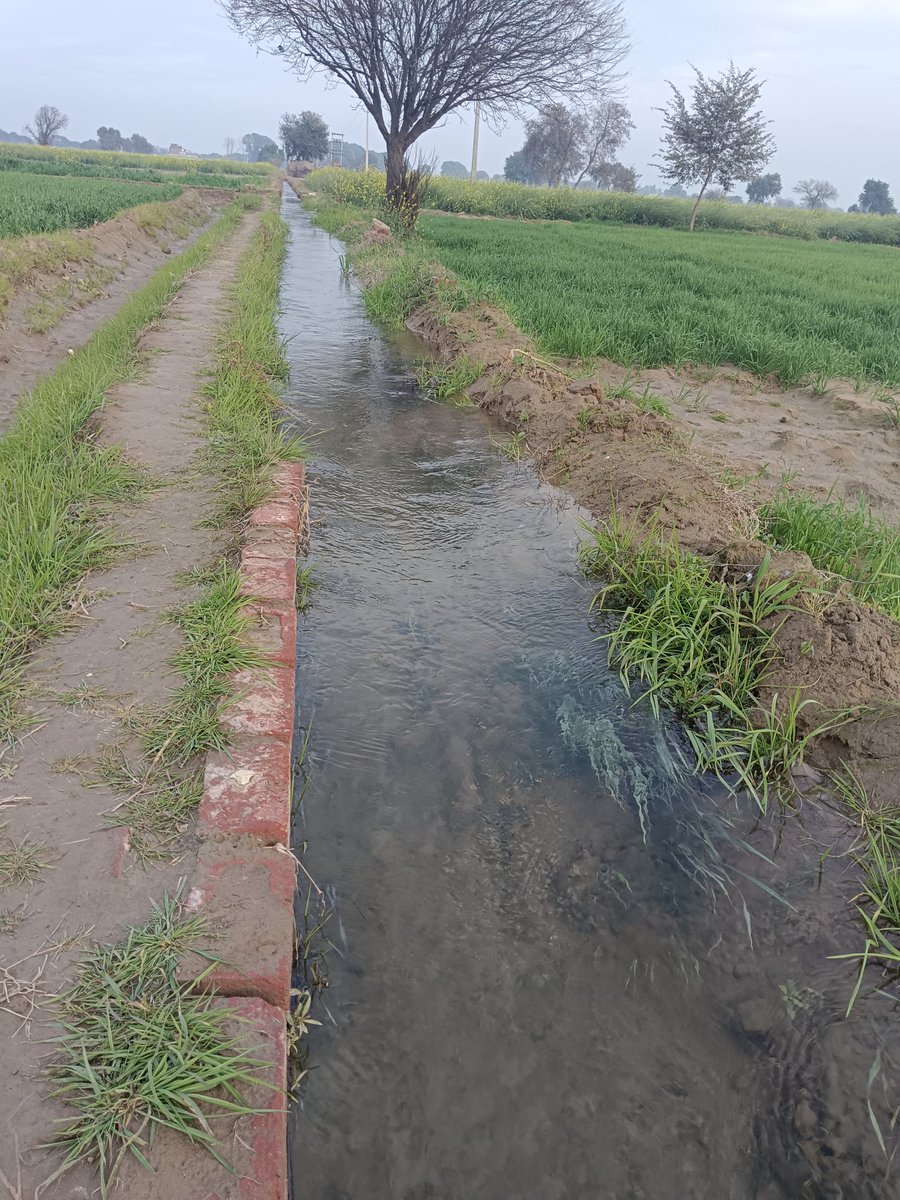 Azadjakhar4's tweet photo. नहाराणा डीवीजन कसुम्भी माईनर मोगा 12000/लेफ्ट डीग मंडी लेफ्ट का खाल दुबारा नया बनबाने हेतु 🙏🏻35 साल से ज्यादा का समय हो गए बने हुए इसकारण बहुत जर्ज़र हालत मे है बुरी तरह खत्म हो चूकाहै किसानो मजबूर है 🙏🏻हरियाणा सरकार हल्प करे🙏🏻 @cmohry @mlkhattar @kanda_mla  @gobindkandaa https://t.co/3KxGVQOfNR