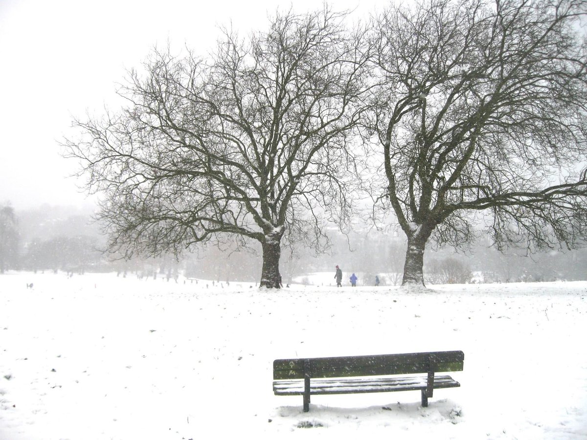 On this day…

Hampstead Heath. 

20 January 2013. 

#LondonNationalParkCity #NorfLunden
