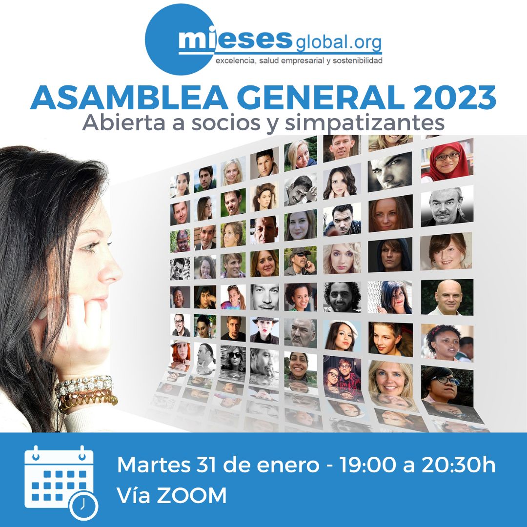 MIESES Global tweet media