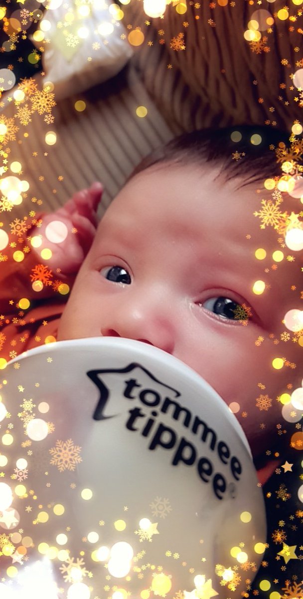 Miss_glance's tweet photo. Those blue eyes 🥰 #tommeetippee @tommeetippee_UK https://t.co/I4OFYHcoEl