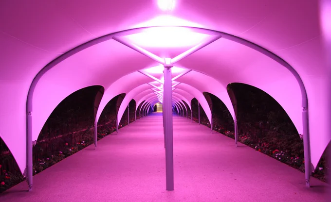 Image from Architen Landrell (@Architen)