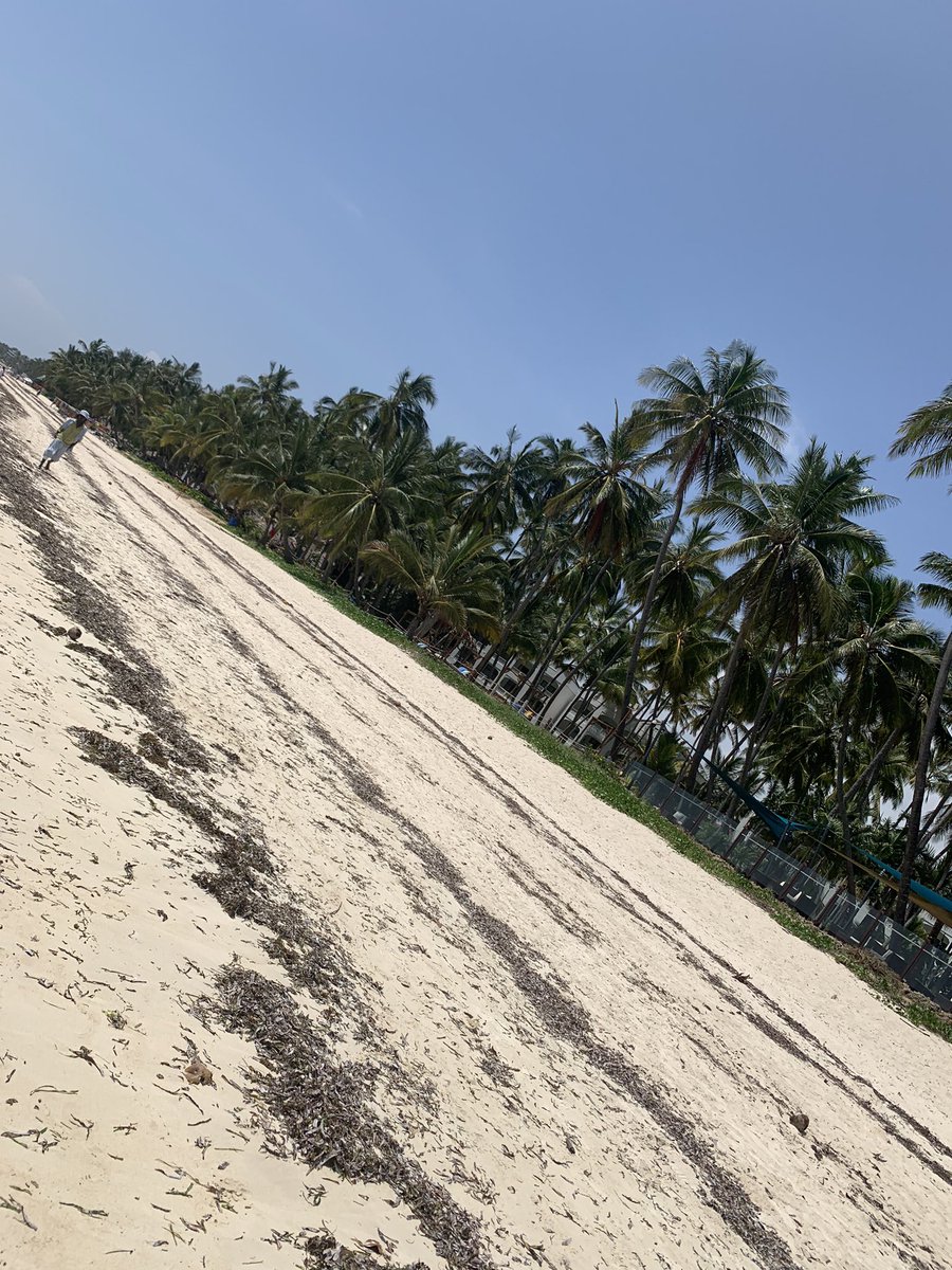 aaron4africa's tweet photo. Beauty for Nature | Traveler’s Beach | #Mombasa #Kenya #SunnyDay  #Ocean #COP2022 #SaveOurClimate https://t.co/ixCP5E40sw