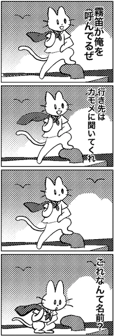 #いわねこ 
19 