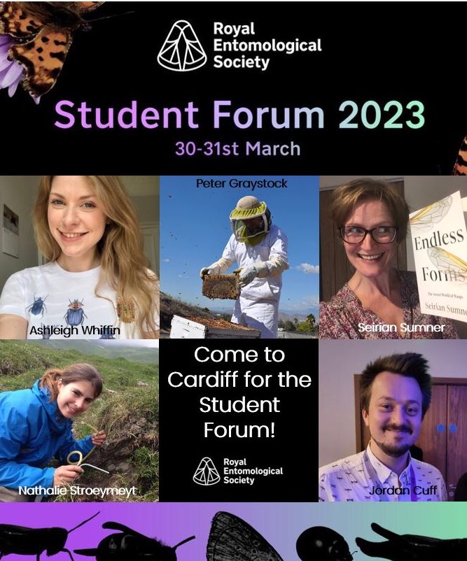 Are you interested in insect science 🪲 or/and perhaps studying something along these lines? At the Student Forum from <a href="/RoyEntSoc/">Royal Entomological Society</a> many exciting speakers are awaiting you: @AshWhiffin, <a href="/JordanCuff/">Jordan Cuff 🕸️🧬🕷️</a>, <a href="/NStroeymeyt/">Nathalie Stroeymeyt</a>, <a href="/WaspWoman/">Prof Seirian Sumner</a> and Peter Graystock 💪