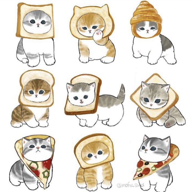 food cat no humans pizza white background simple background animal focus  illustration images