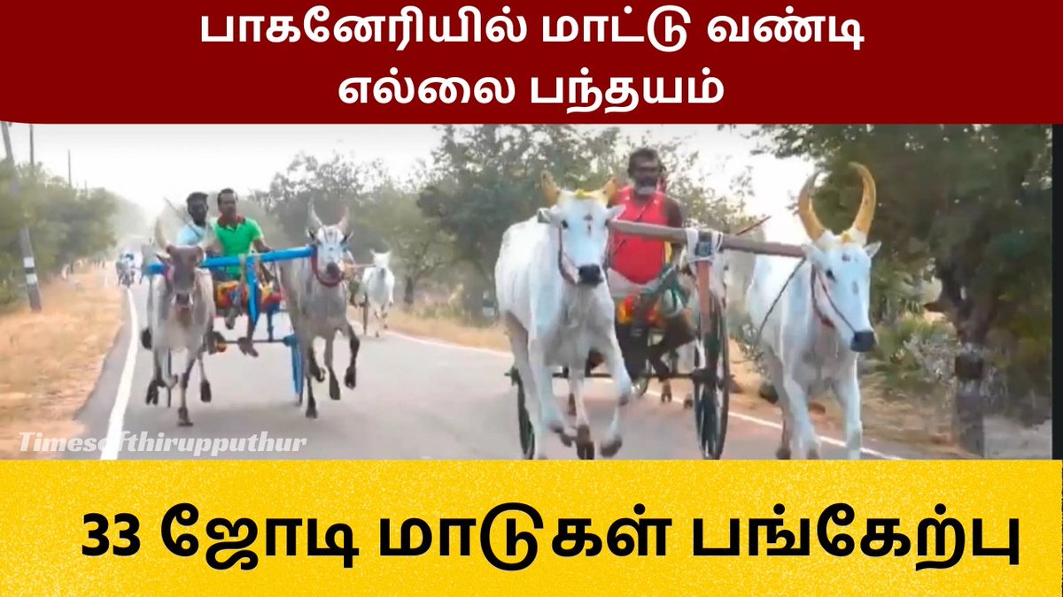 timesoftpr's tweet photo. பாகனேரியில் மாட்டு வண்டி எல்லை பந்தயம். 33 ஜோடி மாடுகள் பங்கேற்பு.
#timesofthirupputhur #sivagangai #mattuvandi #reklarace
https://t.co/KyW2jWjtyy https://t.co/okqyD2INCE