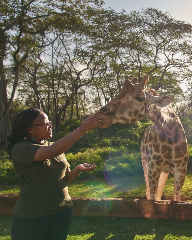 Cecilia has been our sustainability superstar since joining The Safari Collection family in 2021 and we're so proud that she's been recognised for the amazing work undertaken.

Learn more about the amazing Footprint work that Cecilia does: thesafaricollection.com/footprint/