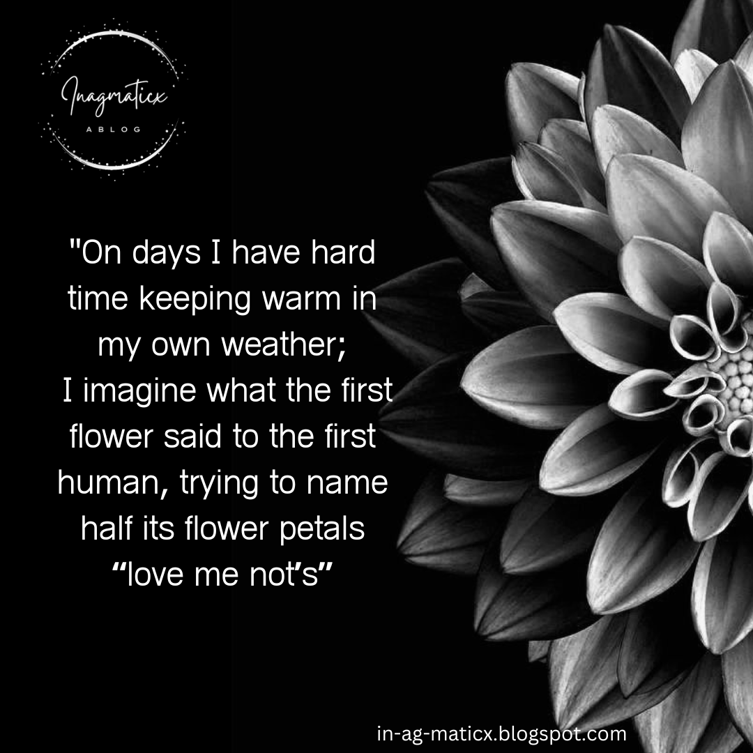 Inagmaticx1's tweet photo. "On days I have hard time keeping warm in my own weather- I imagine what the first flower said to the first human, trying to name half its flower petals “love me not’s” 😎#Ramblings #FriYay right, #LovemeNot #LoveMe #OwnWeather #Blogspot #Poem https://t.co/BGVvrdEv1q