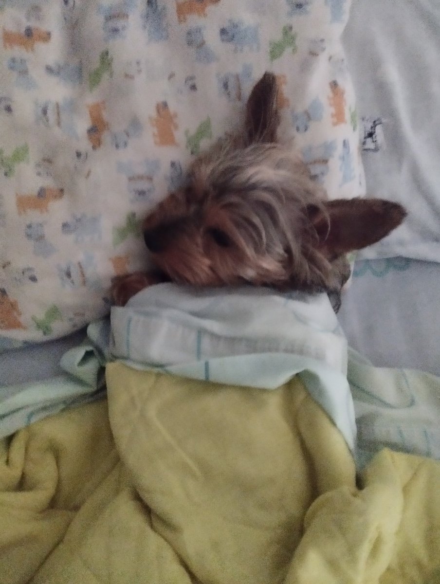 Y así amanece el Cumpleañero, ya son 3 años regalando todo el amor que trajiste para nosotros... Celebro que hayas nacido y nos acompañes en esta vida, te quiero Thiago, mi Yayito...