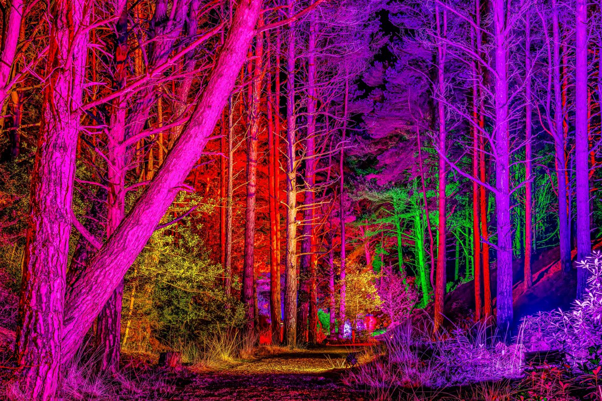 DorsetShazz's tweet photo. ‘Illuminate - Blue Pool’
Fantastic colours of light across the Wooded Grounds of Blue Pool, Wareham.
(More photos to come)
#illuminatebluepool #Wareham #TheBluePool #Dorset @OTEventTechs @TheBluePool1 @DorsetTourism @Bournemouthecho @InPurbeck @inDorsetuk @ResortDorset https://t.co/7tc0mTGXeL