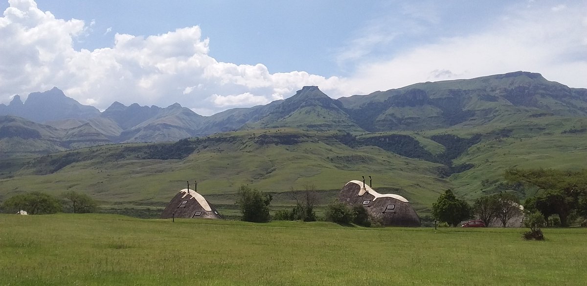 John Midgley tweet media