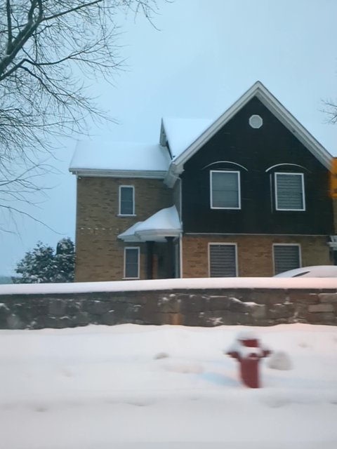 PickleSkull tweet media