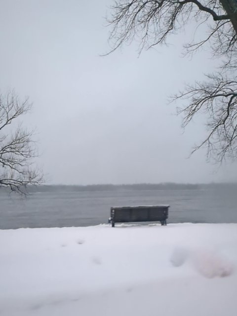 PickleSkull tweet media