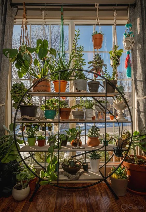 Urban Plant Home tweet media