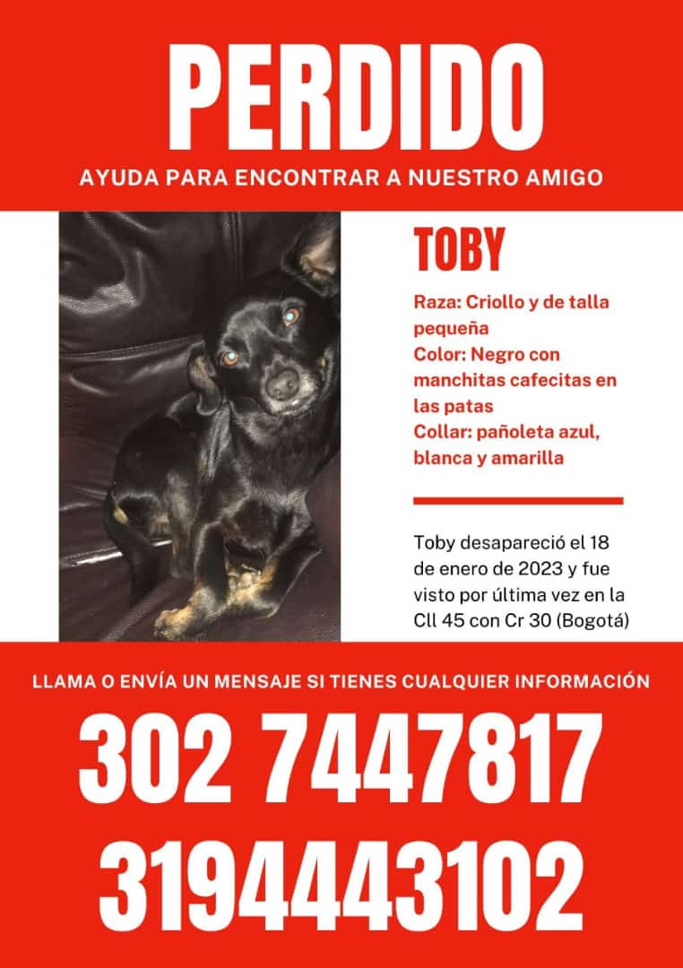 margaritavela's tweet photo. #BUSCANDOaTOBY
Extraviado recientemente en la calle 45 con kr 30 #Bogotá
Por favor, estar pendientes en la zona
#ReencuentrosDeCuatroPatas🐾🐾 https://t.co/24IGLVUQLb