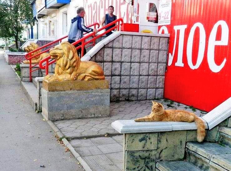 When you lied on your CV but got the job anyway.