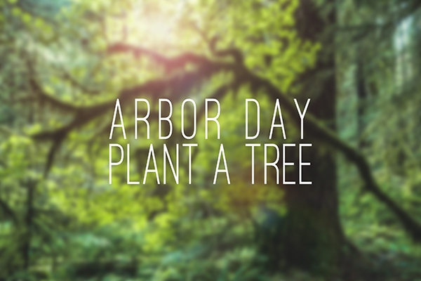 It's Florida Arbor Day!  We're planting 50 trees thanks to our many donors and volunteers.  Help us out! Support Greenscape  ow.ly/BxCf50Mw2XA  

#FloridaArborDay #FloridaTrees #WeDigTrees
