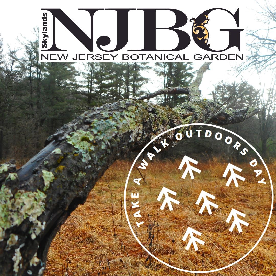 NJBGSkylands's tweet photo. #TakeaWalkOutdoorsDay #TakeaWalkOutdoors #outdoors #walkoutside #walk #outside #njbg #newjersey #ringwood #nj #skylands https://t.co/FoCPOOMPZw